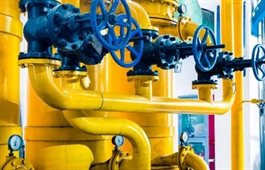 New life injected into idle ventures in LNG