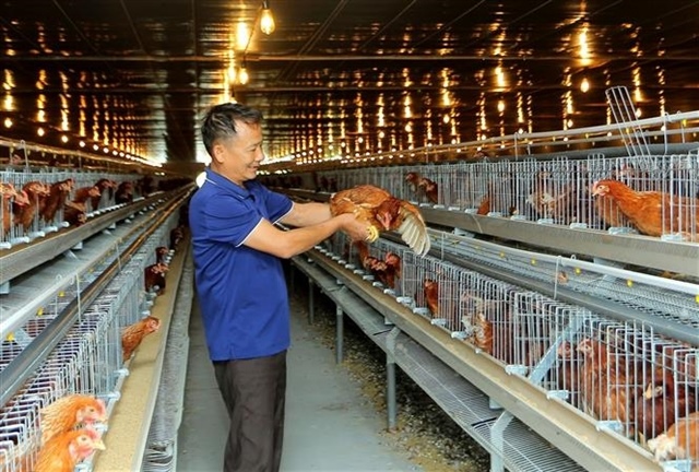 Conference to promote poultry sector’s sustainable development
