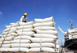 MoIT seeks feedback on import tariff quotas for Cambodian rice and tobacco