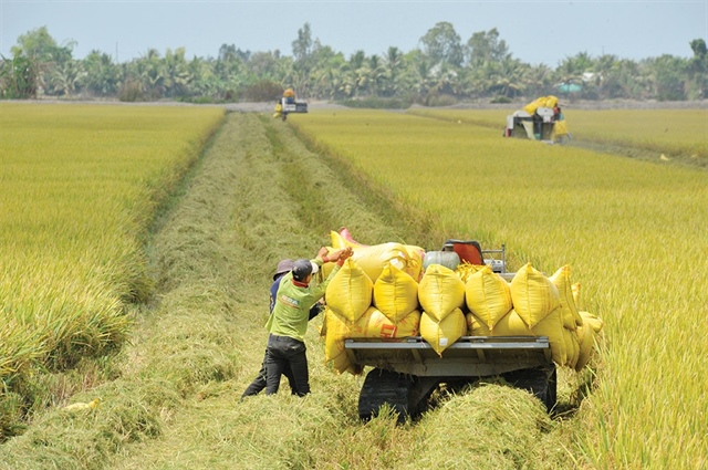 Agriculture players lean on tech to raise productivity