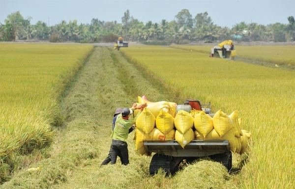 Agriculture players lean on tech to raise productivity