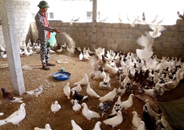 Ministry proposes 20–50% cut in agricultural and environmental fees