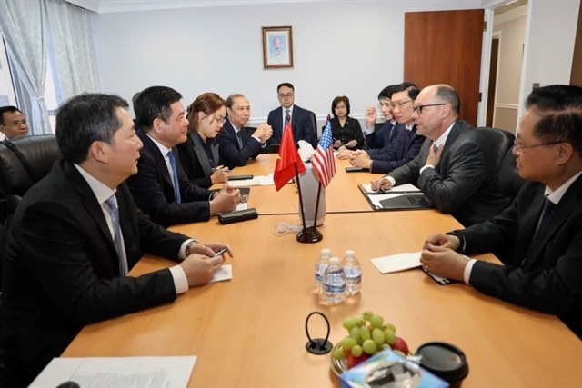Việt Nam expands strategic ties with US giants