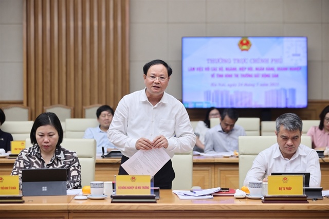 Thủ tướng: Xử lý nghiêm các hành vi đầu cơ, lũng đoạn; hướng tới mục tiêu mọi người dân đều có chỗ ở- Ảnh 6.