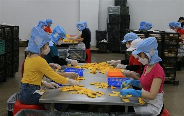 Private sector seen as key driver of Việt Nam’s economy