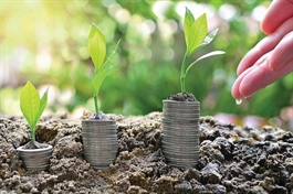 Vietnam steps up green finance race with regional investments