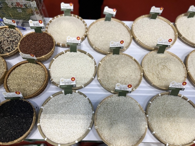 Bỏ tư duy 'không quản được thì cấm' trong kinh doanh xuất khẩu gạo ảnh 1