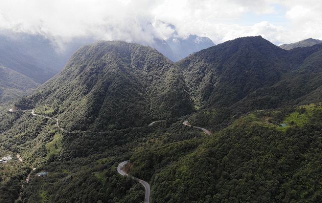 image of creating carbon credits from forests