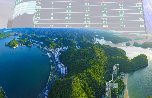 image of the upcoming pilot operation of the carbon market in Vietnam