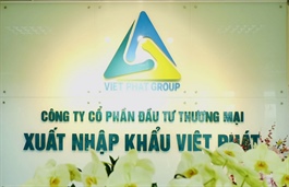 Vợ tân lãnh đạo VPG thoái sạch cổ phiếu