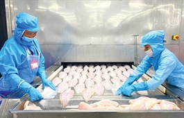 Exporters attempt to make most of US tariff impasse