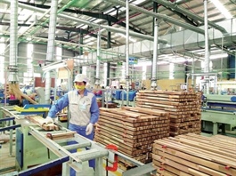 New Zealand bolsters timber exports to Vietnam
