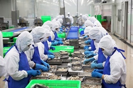 Firms under pressure of rising costs amid trade uncertainty: HSBC survey