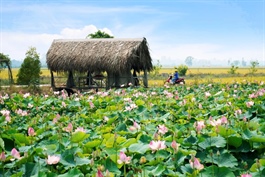 Chủ khu du lịch Mỹ Trà rời sàn sau hơn 1 thập kỷ, cổ phiếu 