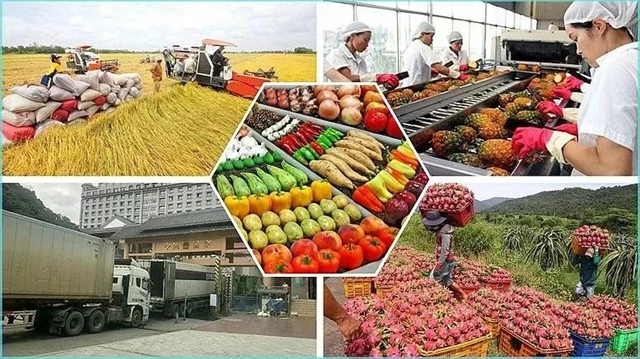 Agro-forestry-fishery export in five months top $28 billion
