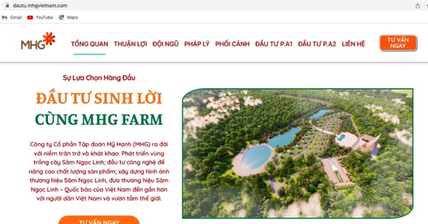 Góp vốn đầu tư, mua kỳ nghỉ - coi chừng sập bẫy!
