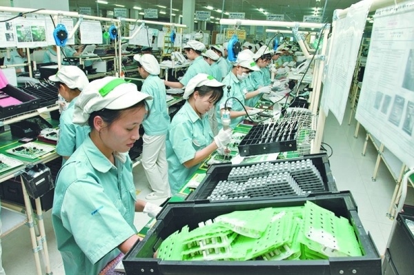 Overhaul of tax sector boosts operational effectiveness