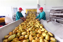 Agri-products: Quality for the long term