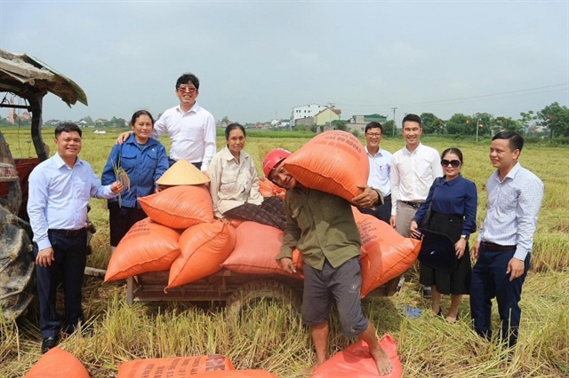 Alternate wetting and drying irrigation technology aids climate-resilient rice farming