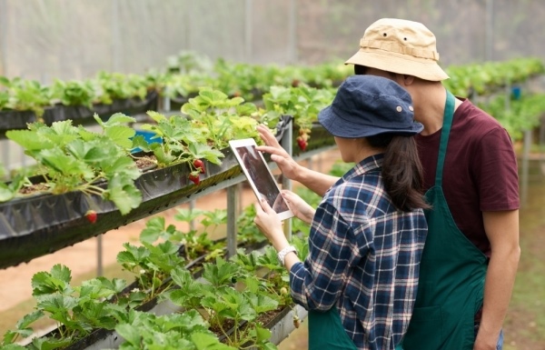 Agricultural firms seek policy to utilise new resolution