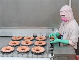 Shrimp industry's 'green revolution' positions Australia as strategic market