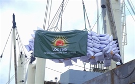 Lộc Trời (LYG) estimates losses of over $20 million