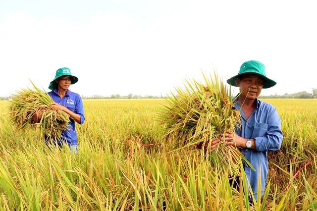 Shaping Việt Nam's carbon credit market demands robust institutional framework
