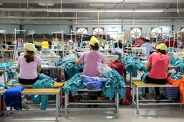HTG tiếp tục bị xử phạt thuế, đóng cửa nhà máy Hòa Quý, giá cổ phiếu liên tục điều chỉnh