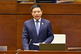Finance minister outlines solutions to boost growth at National Assembly Q&A session