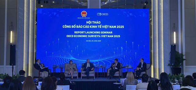Vietnam Economic Report 2025: OECD insights on sustainable growth strategy