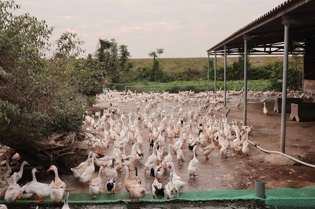 VN increases unsecured loan cap for farmers to $12,000 from July