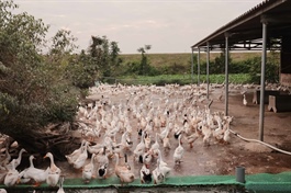 VN increases unsecured loan cap for farmers to $12,000 from July