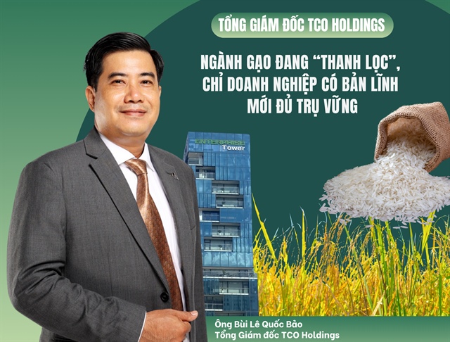 Tổng Giám đốc TCO Holdings: Ngành gạo đang “thanh lọc”, chỉ doanh nghiệp có bản lĩnh mới đủ trụ vững