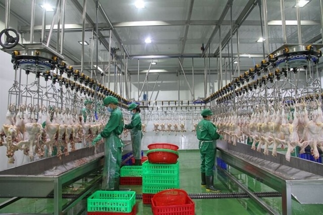 Tây Ninh aims to become southern Việt Nam’s high-tech livestock hub