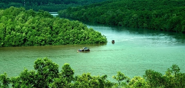 Amazon and Eni express interest in buying forest carbon credits from Việt Nam