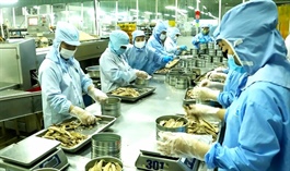 Kiên Giang industrial production rises by 14% in first 6 months
