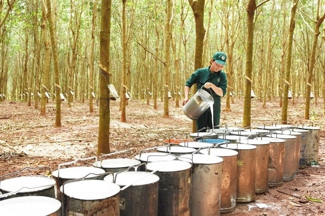Market mixed as VN-Index struggles around 1,370-point level