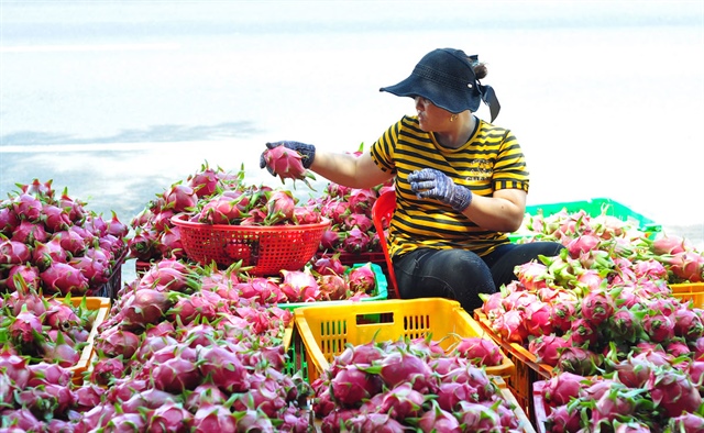 Thủ tướng chỉ đạo khẩn cấp ứng phó rủi ro truy xuất nguồn gốc với nông sản Việt tại thị trường EU