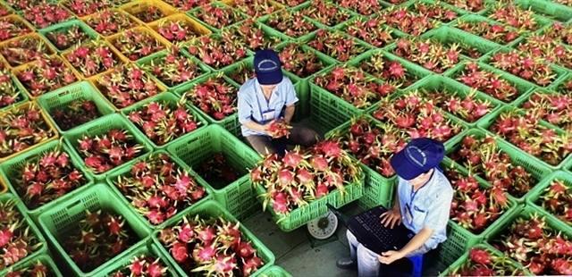 Global uncertainty weighs on Việt Nam's economic outlook