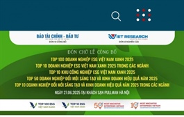 Vietnam's top performers in ESG and innovation honoured