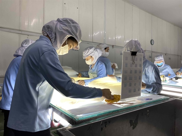 European firms remain keen on Vietnam despite trade pressures