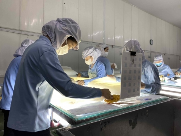 European firms remain keen on Vietnam despite trade pressures