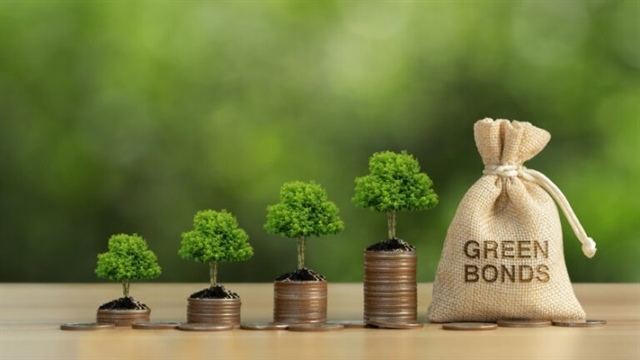 Việt Nam's green bond market scales up, but standards are key for credibility