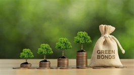 Việt Nam's green bond market scales up, but standards are key for credibility