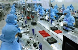 Việt Nam enjoys robust recovery amidst global challenges