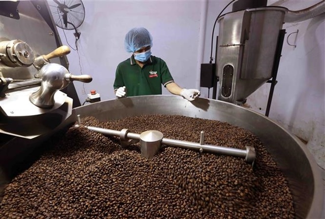 Agricultural, forestry and fishery exports accelerated to reach $65 billion target
