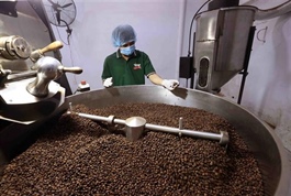 Agricultural, forestry and fishery exports accelerated to reach $65 billion target