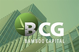 Cổ phiếu BCG, TCD vào diện cảnh báo vì công ty chưa tổ chức họp ĐHĐCĐ