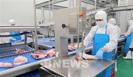 CP Việt Nam did not violate food safety regulations: report