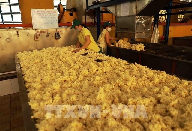 Việt Nam targets $3.3 billion in rubber exports this year